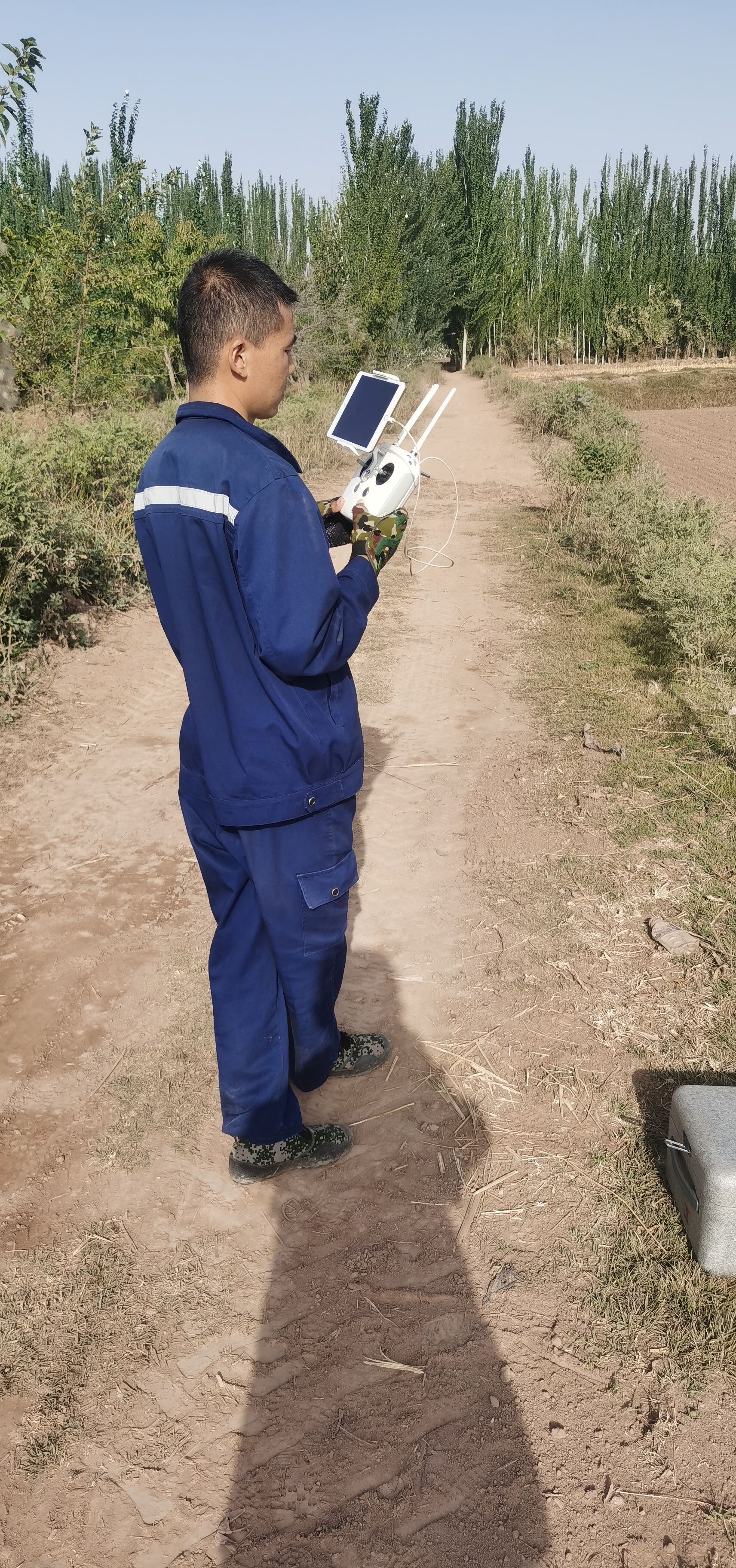 2023年喀什高标准农田项目