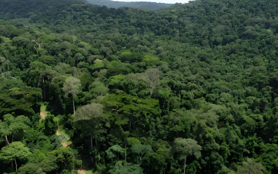 海外长距离公路机载雷达测绘：从精密基准构建到点云智能转换的全流程工程解析