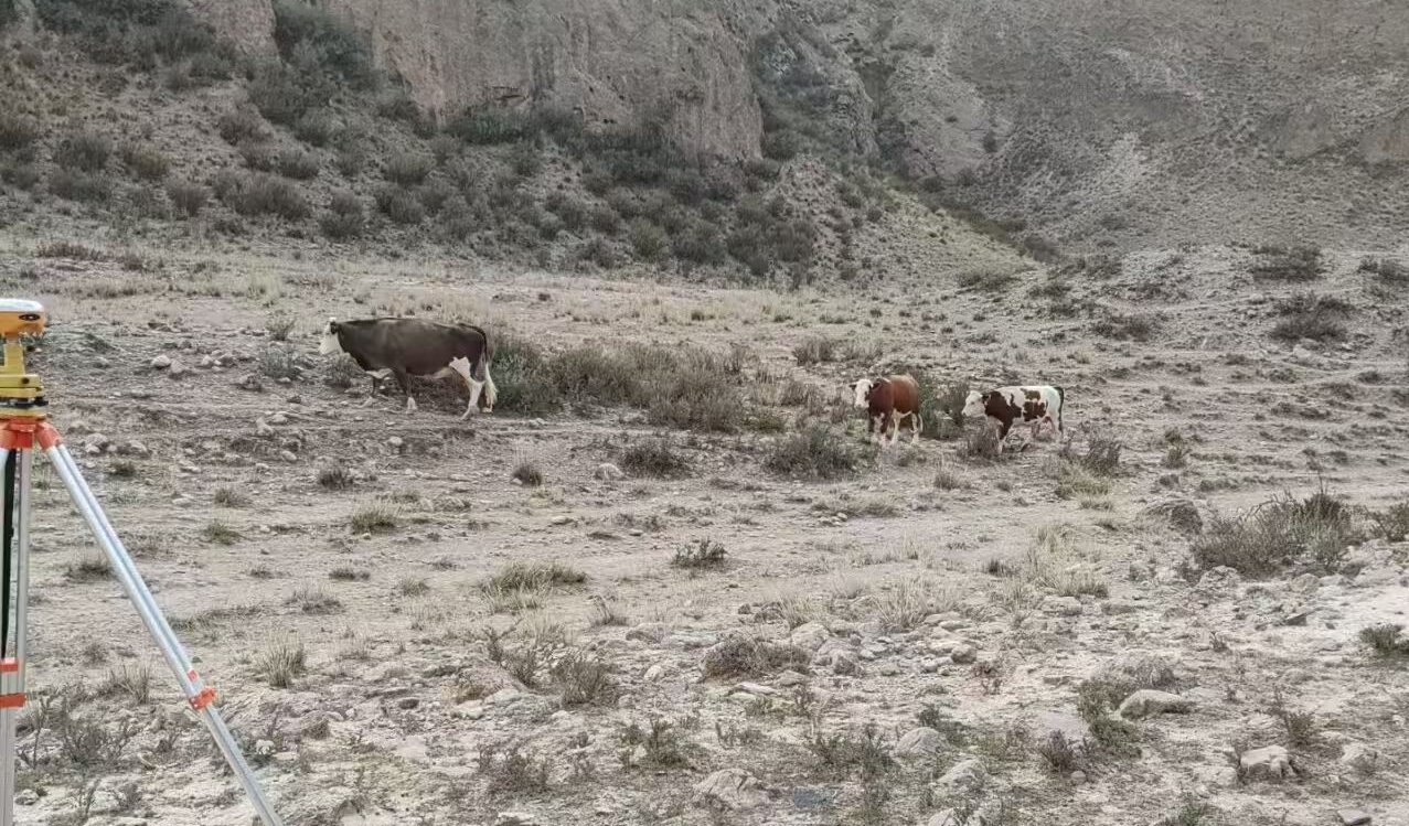 技术满分，成本失控？无人区测绘亟需&ldquo;精算&rdquo;革命